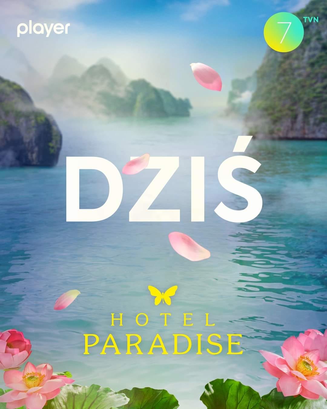 Co się tam dzieje w raju czyli przetrwanie i”Situation Ship”- Hotel Paradaise 8 pokazuje nam relacje w XXI wieku?cz.2